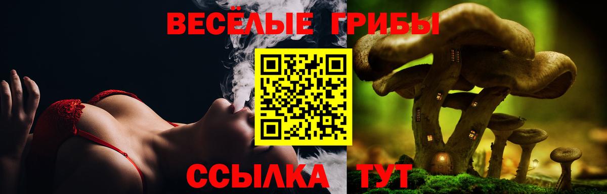 Галлюциногенные грибы ЛСД  Псилоцибиновые грибы ЛСД  Гагарин  Вход с VPN 